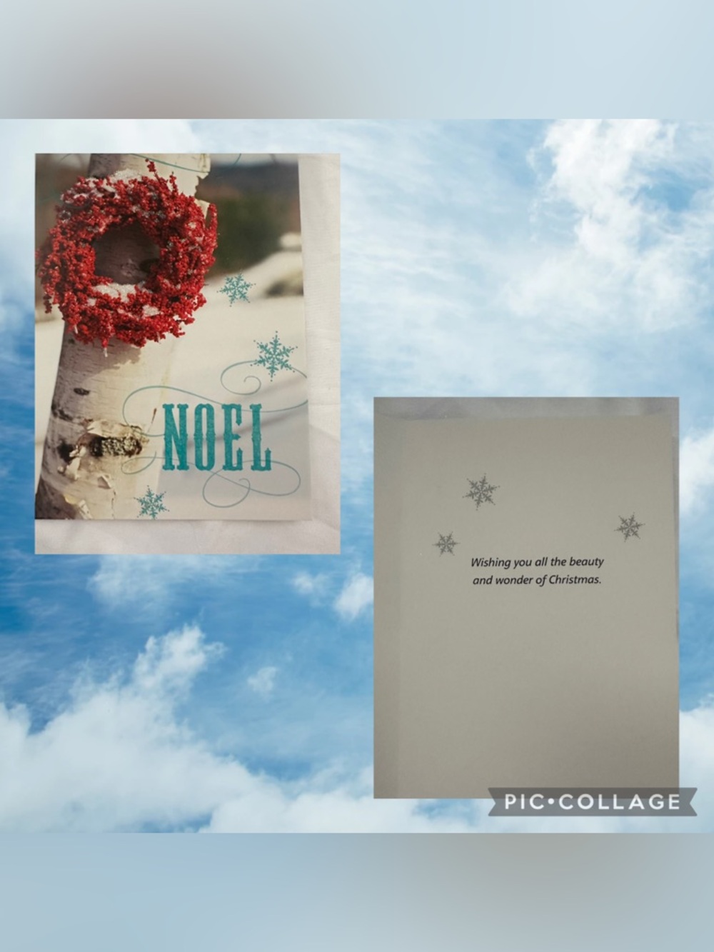 16 Ct Holiday Cards & Envelopes Set Joy, Noel, Hope, Peace Designs - Picture 7 of 8